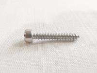 M4X25 HEX, Nickel Набор шурупов для динамика 50шт(FUT-1205-N) M4X25 HEX, Nickel Набор шурупов для динамика 50шт(FUT-1205-N)