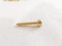 M3X16 HEX, GOLD Набор шурупов для динамика 25шт (FUT-1207-H) M3X16 HEX, GOLD Набор шурупов для динамика 25шт (FUT-1207-H)