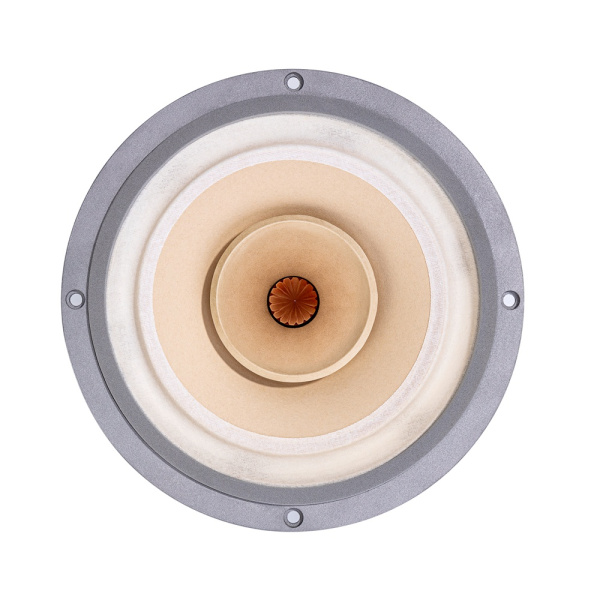 FAST8 Динамик широкополосный ( 2 шт.)  D250 мм, 40Вт, 6,5 Ом, 47-18к Гц, 94 дБ, Lii