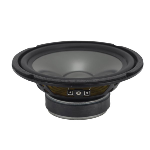 BN65L Динамик широкополосный 166мм 40вт, 2Ом, 89дБ 58-15кГц.