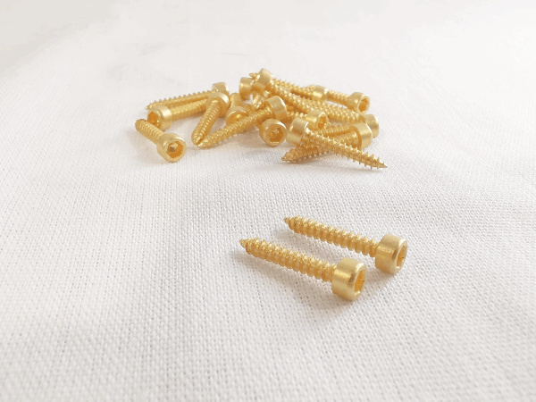 M3X16 HEX, GOLD Набор шурупов для динамика 25шт (FUT-1207-H) M3X16 HEX, GOLD Набор шурупов для динамика 25шт (FUT-1207-H)