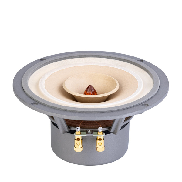 FAST8 Динамик широкополосный ( 2 шт.)  D250 мм, 40Вт, 6,5 Ом, 47-18к Гц, 94 дБ, Lii